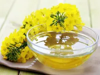 Canola oil