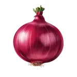 Onion