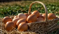 Eggs (Regular / Country)