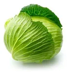Cabbage
